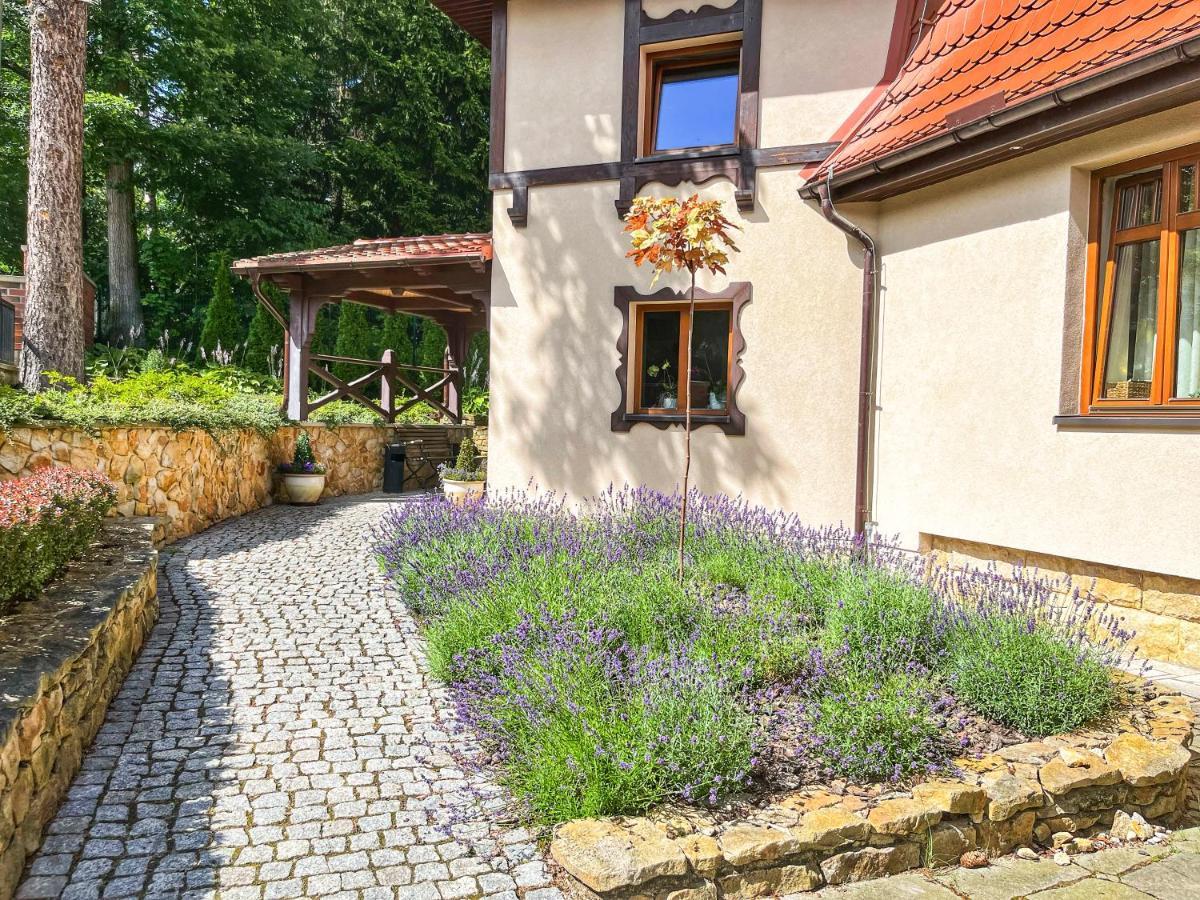 Villa Filmowiec Поляница-Здрой Екстериор снимка